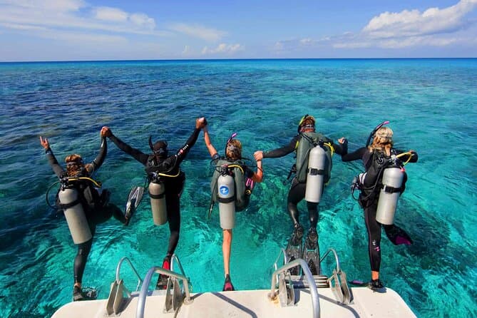 Ocean Pulse: Group Dive Quest (4-6 divers) @ Saltus Maldives, A.Dh Dhangethi